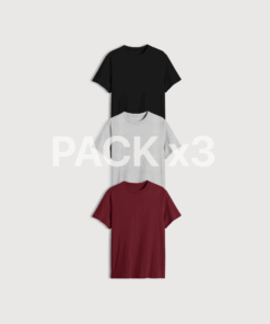 REMERA REGULAR FIT X 3